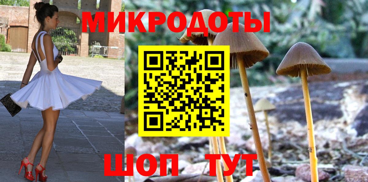 Псилоцибиновые грибы мухоморы Сертолово