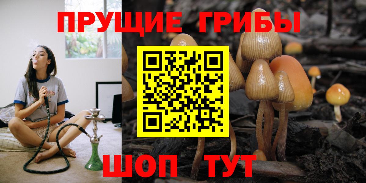 купить наркотик  Вход с VPN  Сертолово  Галлюциногенные грибы MAGIC MUSHROOMS 